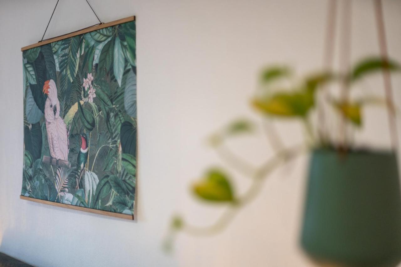 Kakadu - Zentral - Workplace - Gemeinschaftsterrasse, Snes Frankenberg an der Eder Exteriör bild
